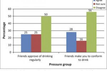 Peer Pressure Chart